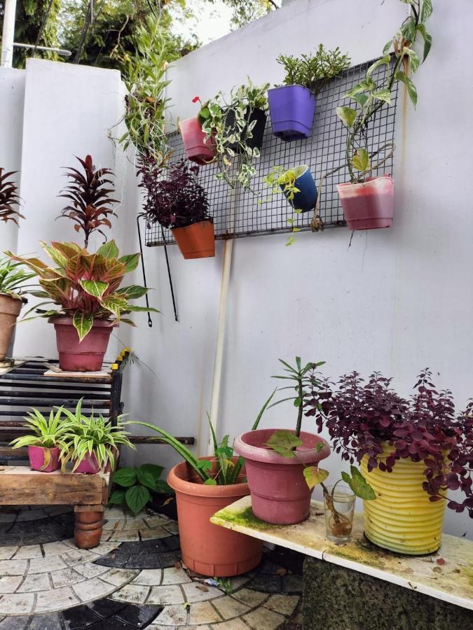 Joseys Homestay Kochi Exterior foto